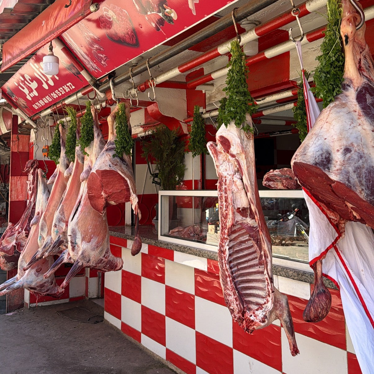 Ladies Reisen - 6 Tage Marrakesch 01.12.-06.12.2026