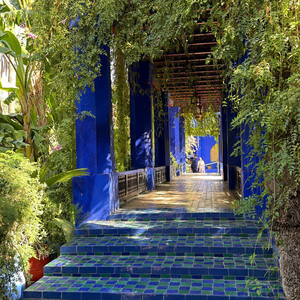 Ladies Reisen - 6 Tage Marrakesch 01.12.-06.12.2026