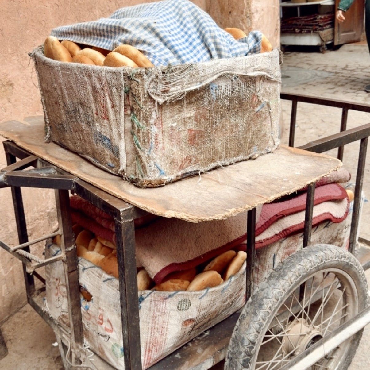 Ladies Reisen - 6 Tage Marrakesch 01.12.-06.12.2026