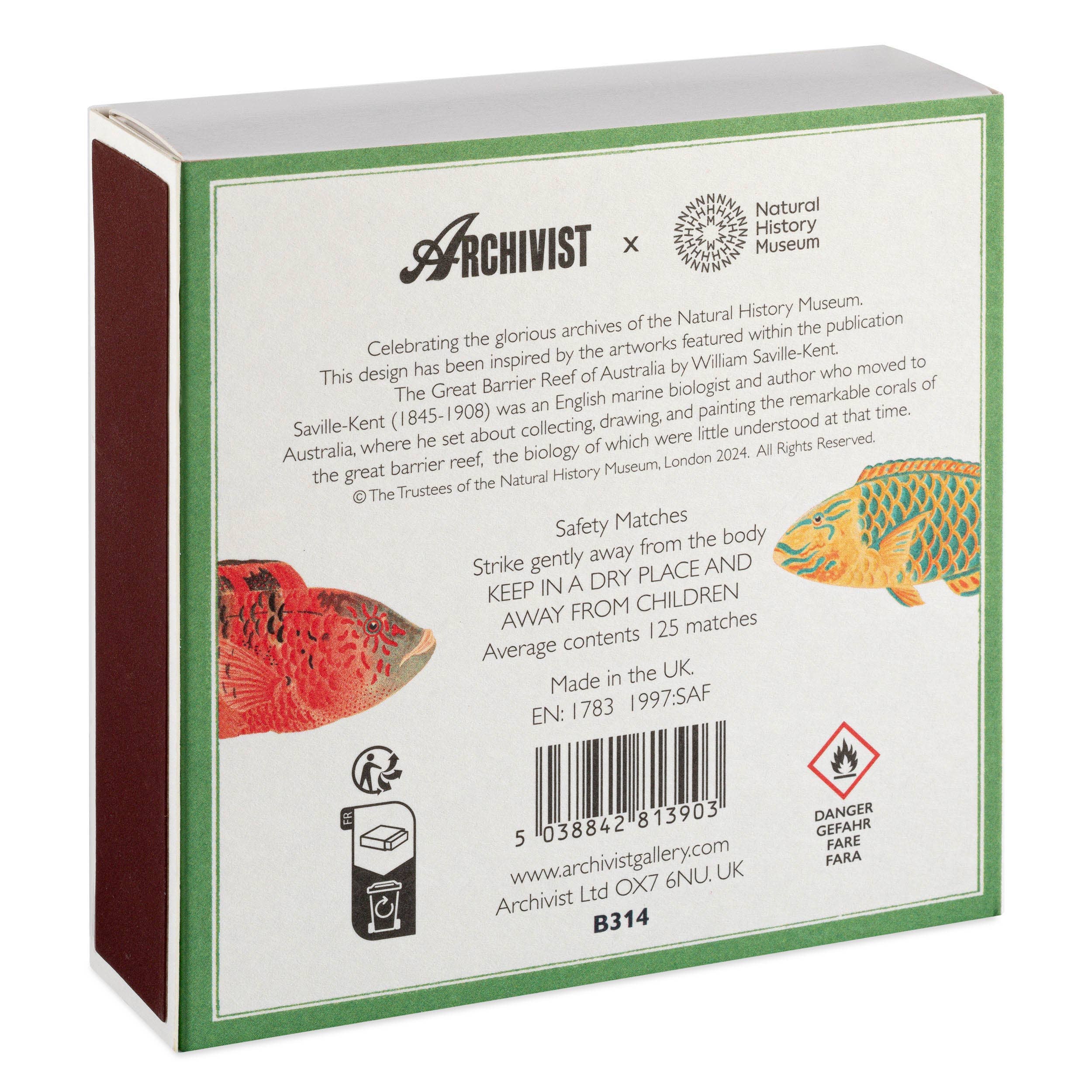 Naturhistorisches Museum Fisch | Quadrat - Sicherheitsstreichhölzer