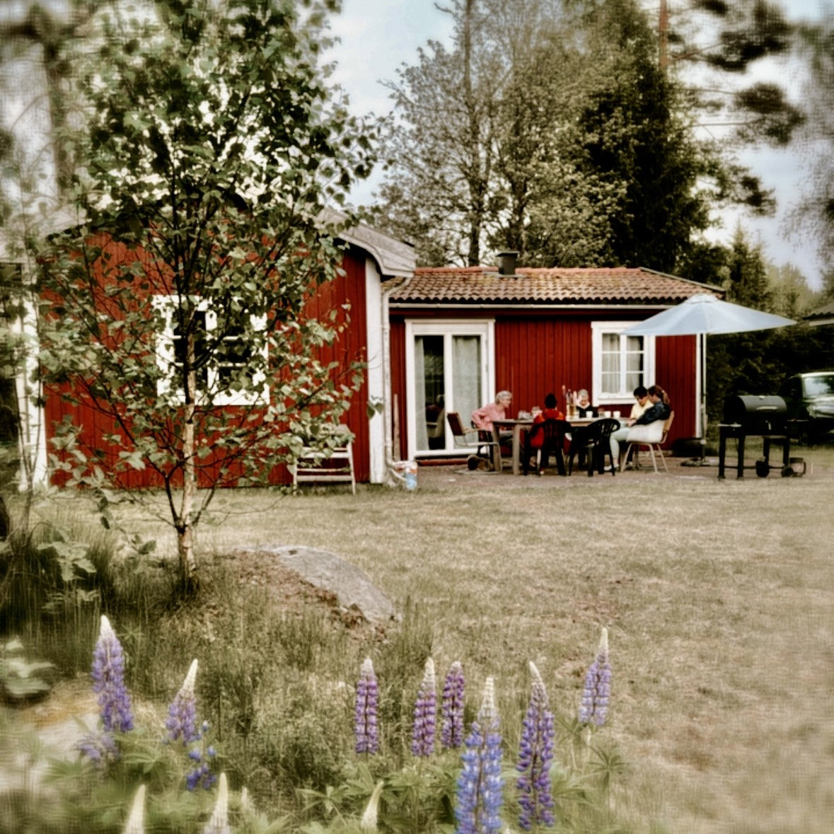 Schweden Ladies Reisen 2026 Mai