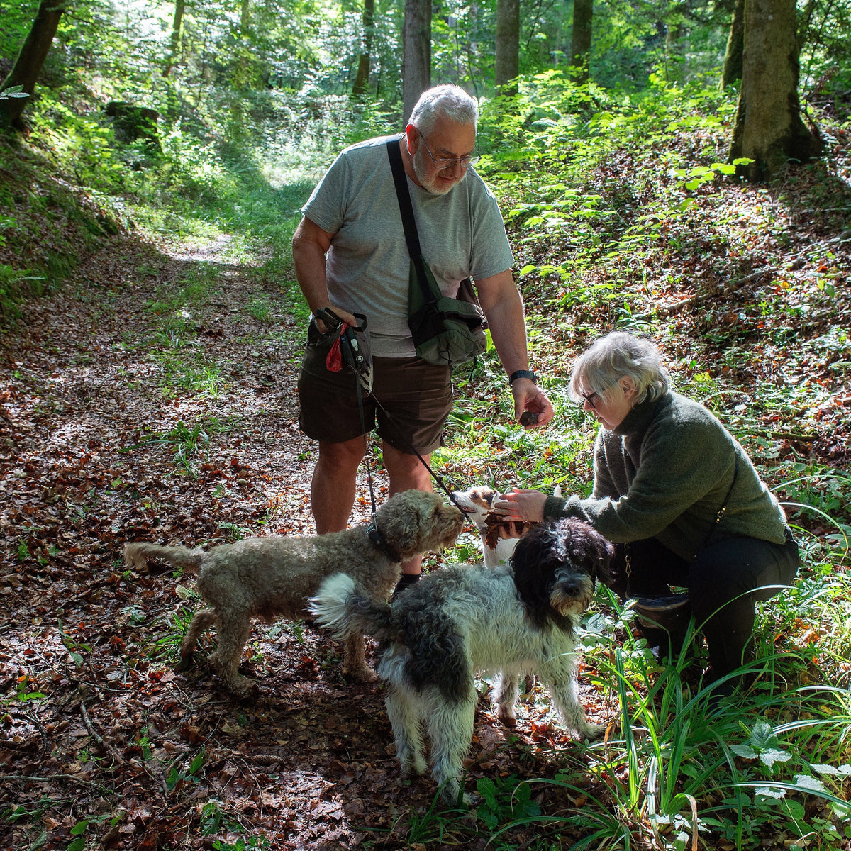 Unsere Trueffel Hunde