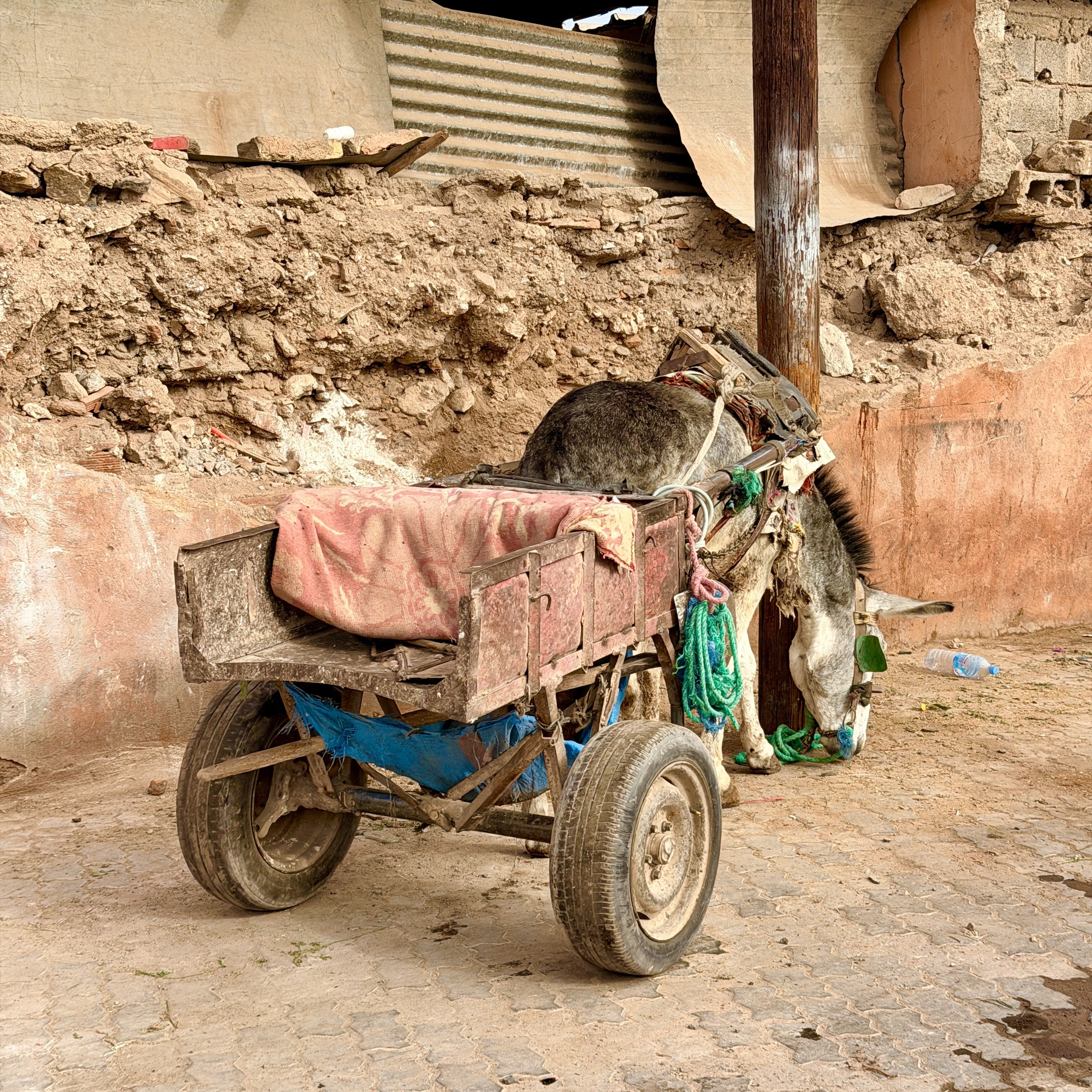 Ladies Reisen  - 6 Tage Marrakesch 01.12.-06.12.2026