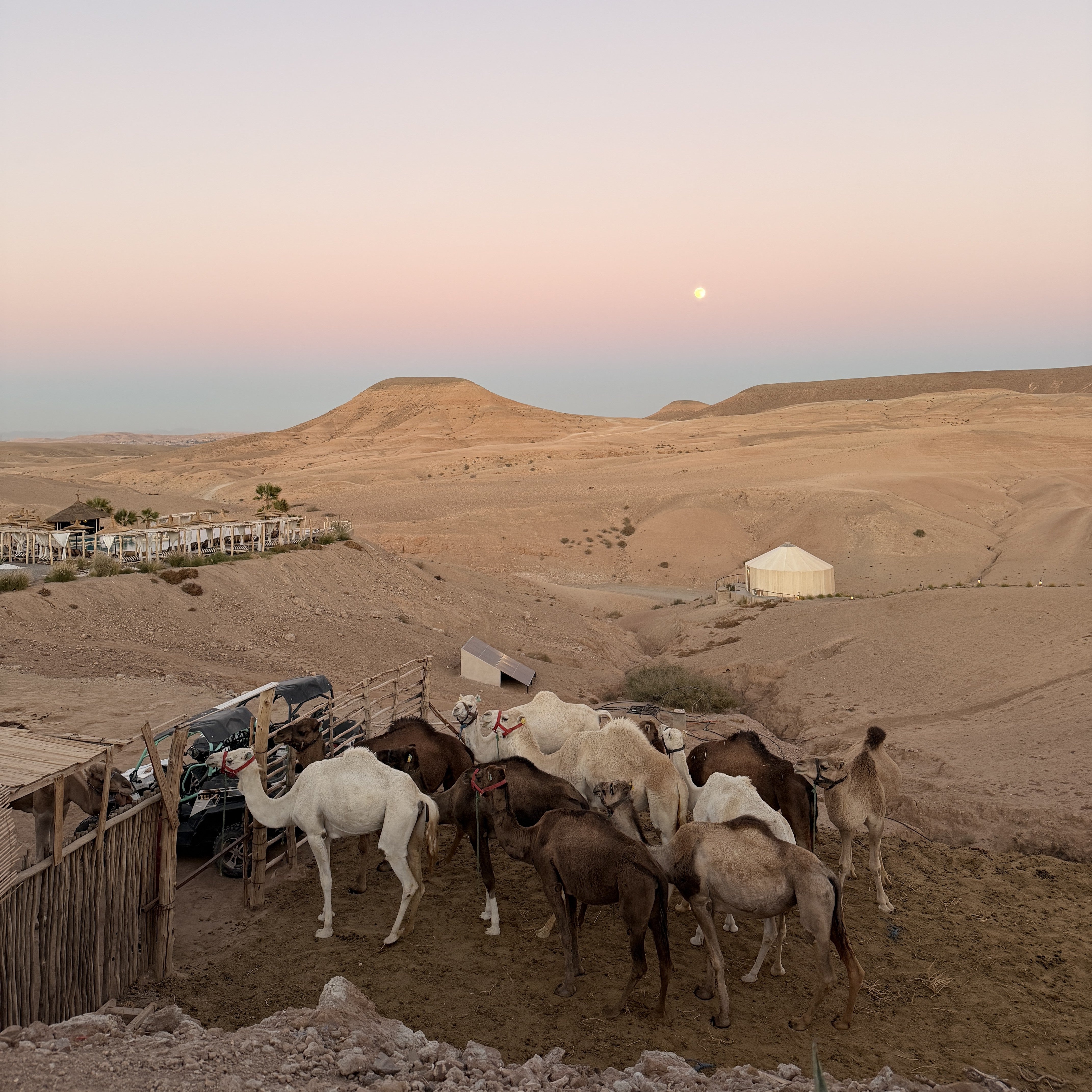 Ladies Reisen  - 6 Tage Marrakesch 01.12.-06.12.2026